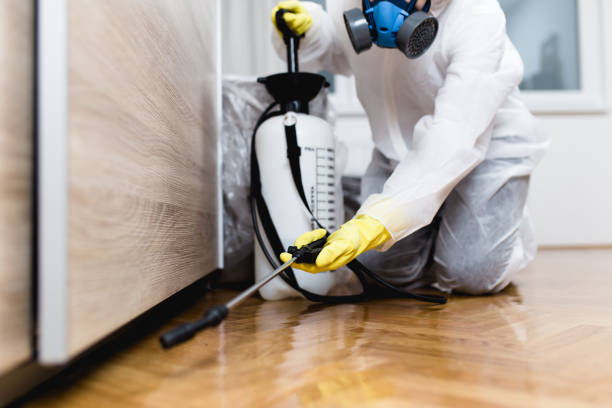 Best Wasp Removal Services  in Huntgton, IN