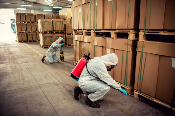 Best Local Pest Control Services  in Huntgton, IN