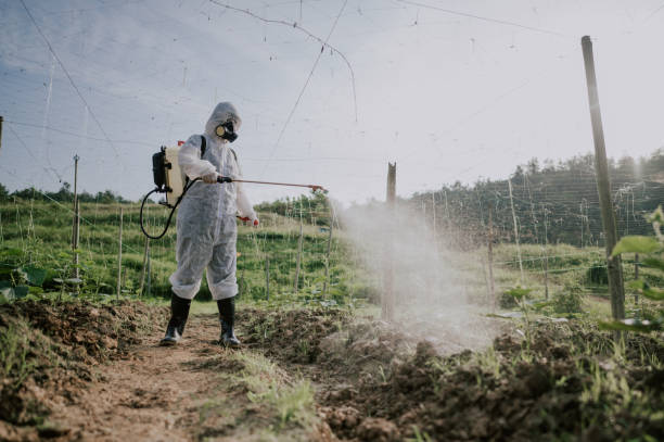Best Best Pest Control Companies  in Huntgton, IN