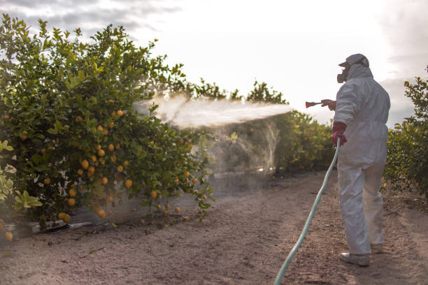 Best Pest Removal Services  in Huntgton, IN