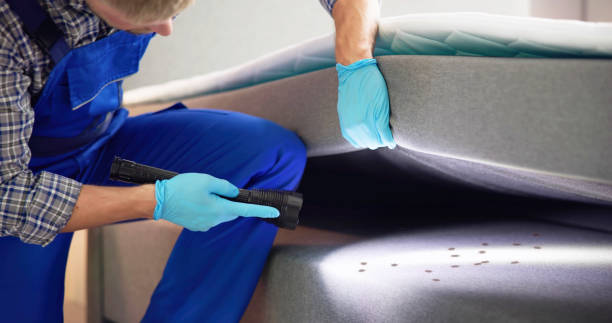 Best Emergency Pest Control  in Huntgton, IN