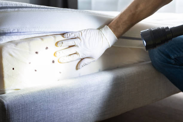 Best Affordable Pest Control Services  in Huntgton, IN