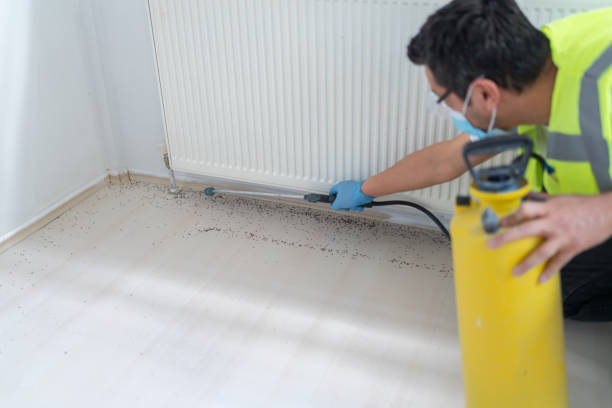 Best Emergency Pest Control  in Huntgton, IN