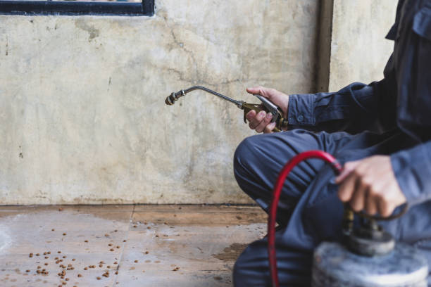 Best Pest Prevention Services  in Huntgton, IN